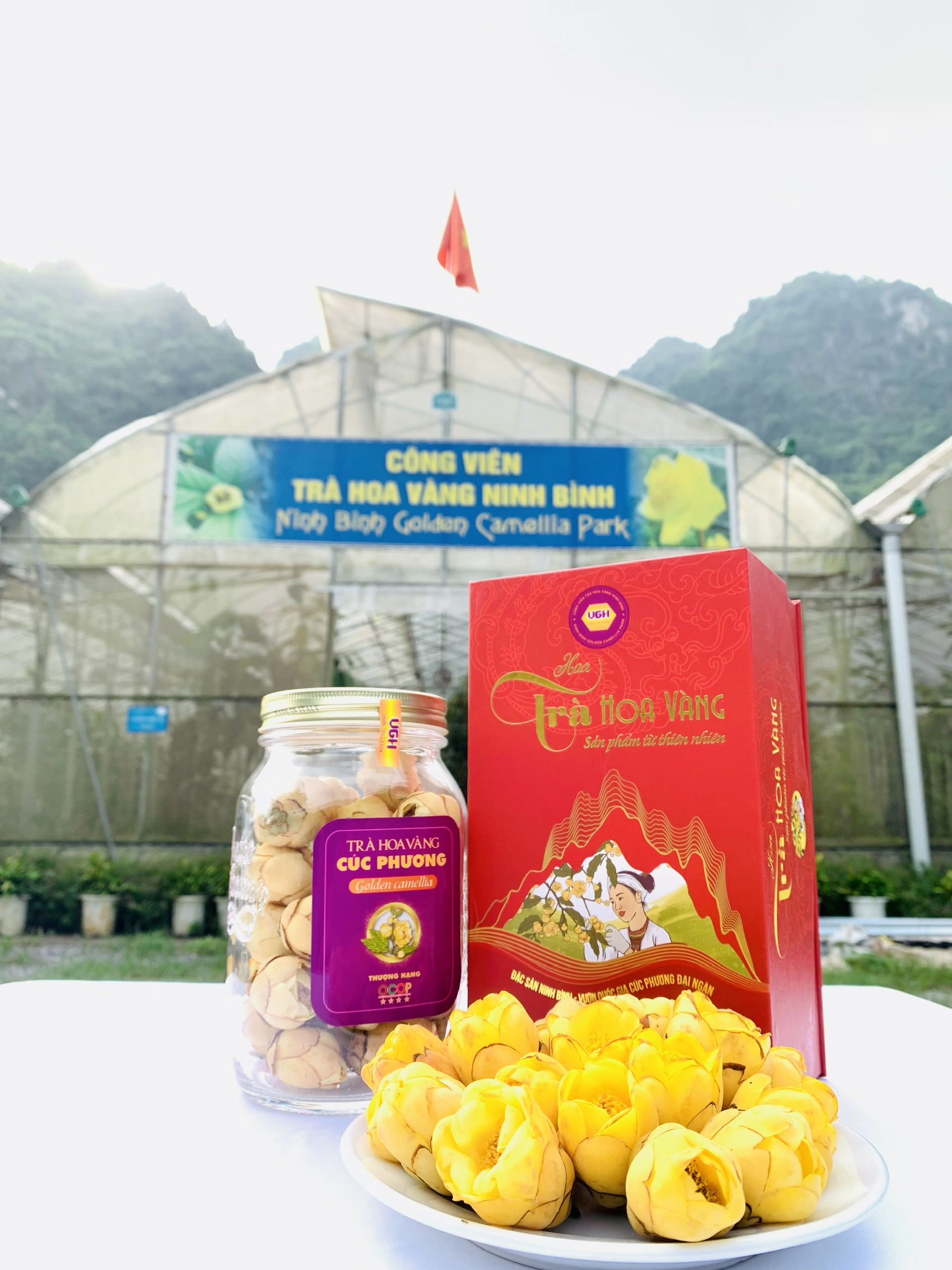 Trà hoa vàng Cúc Phương thượng hạng 50gr